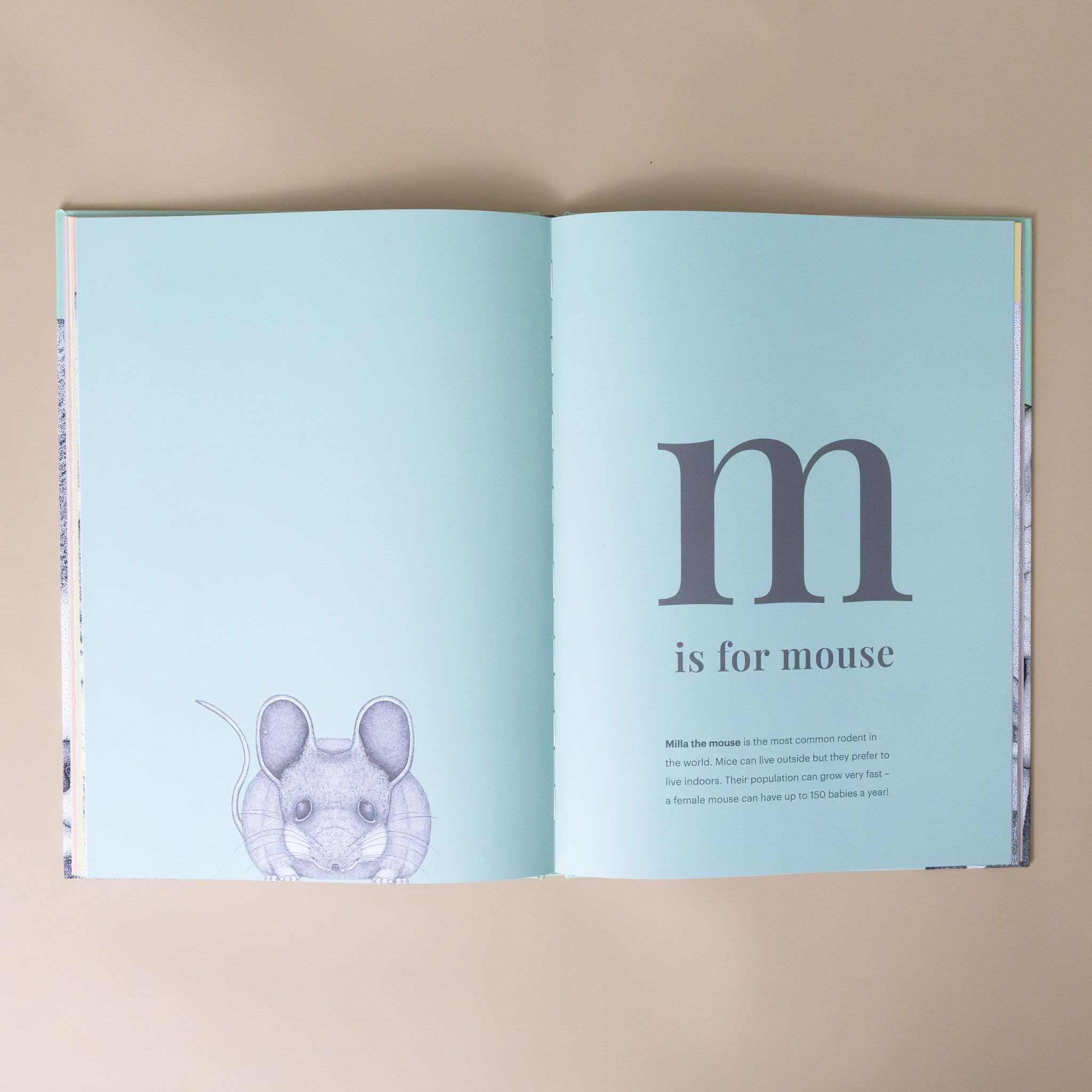 animal-alphabet-interior-page-on-letter-m-and-illustration-of-a-mouse