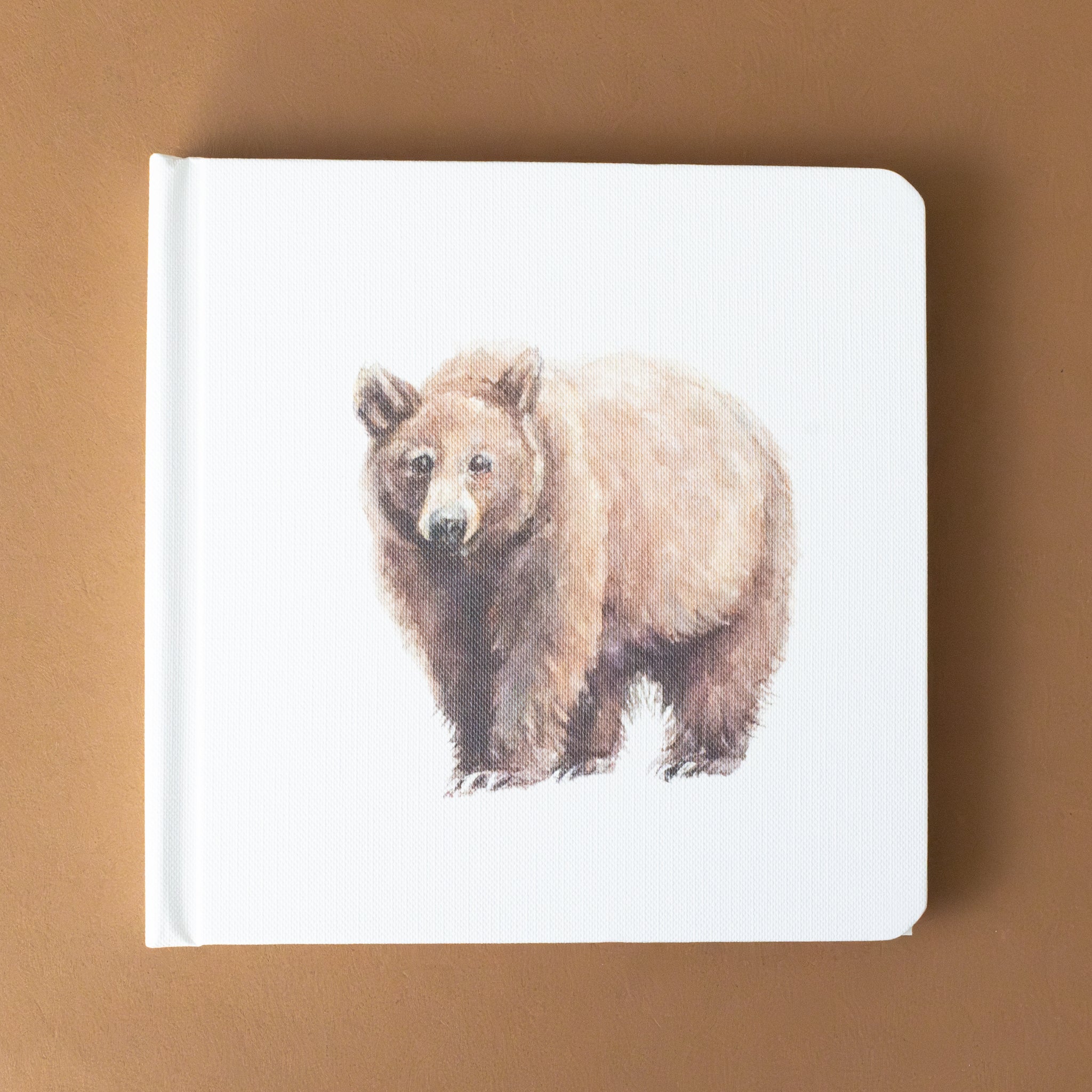 grizzly-bear-on-book-cover