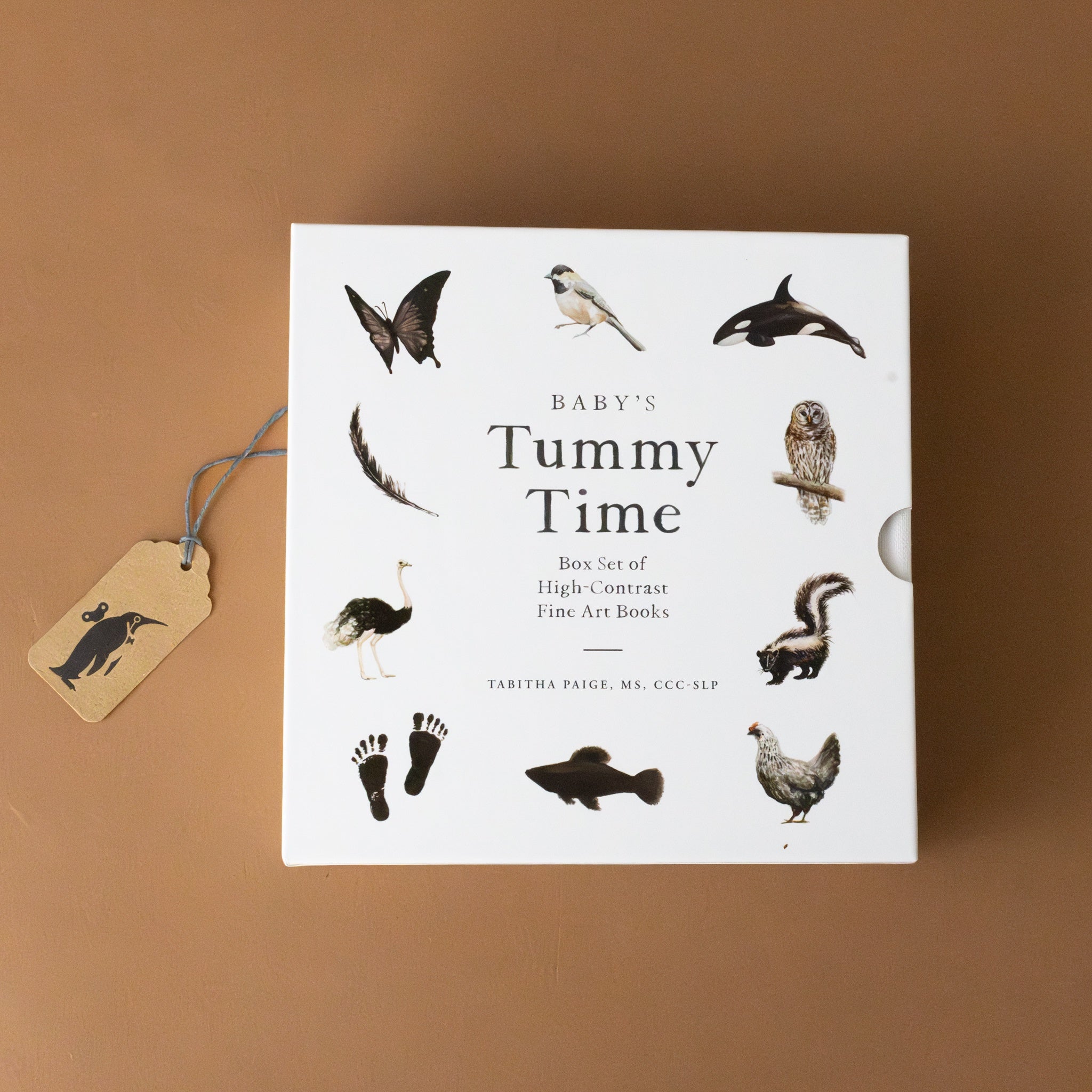 babys-tummy-time-book-box-set-with-black-and-white-animal-images