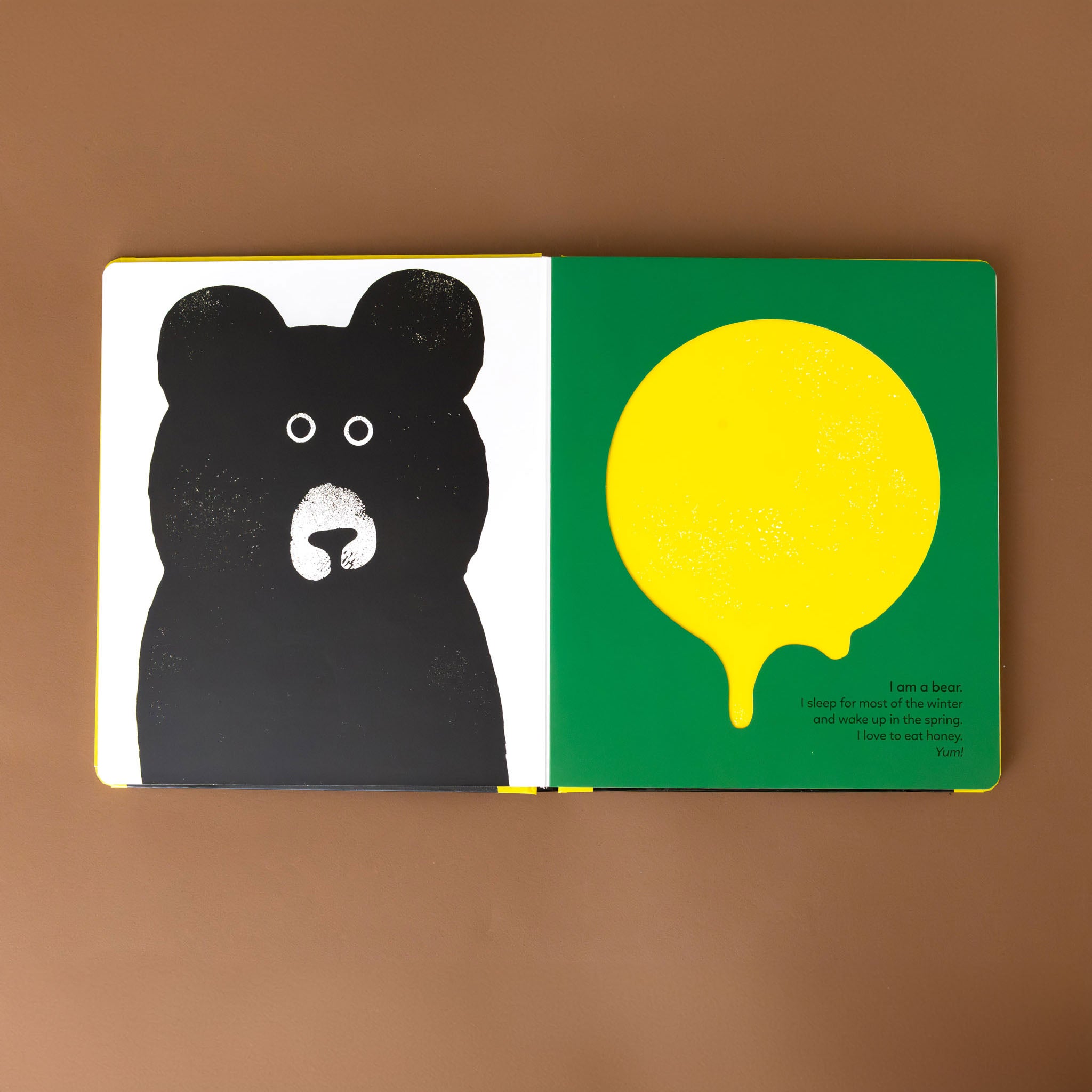 interior-pages-with-a-bear-on-one-page-and-a-yellow-drop-on-the-opposing-page-with-text-about-the-bear-and-honey