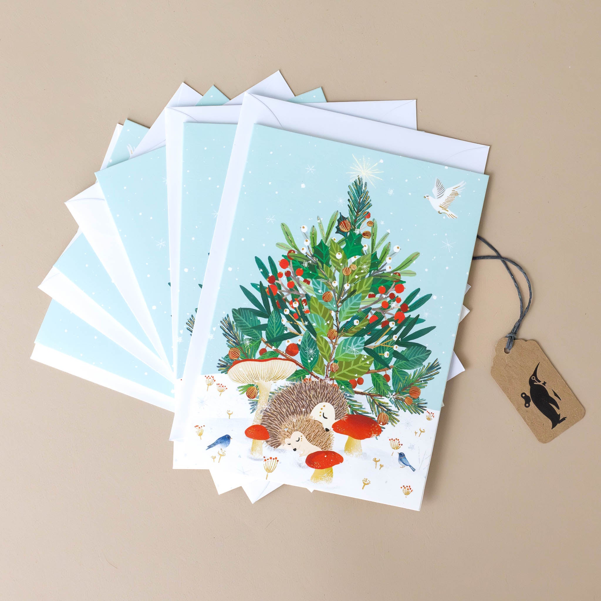 Boxed Notecard Set | Beneath the Tree Hedgehogs