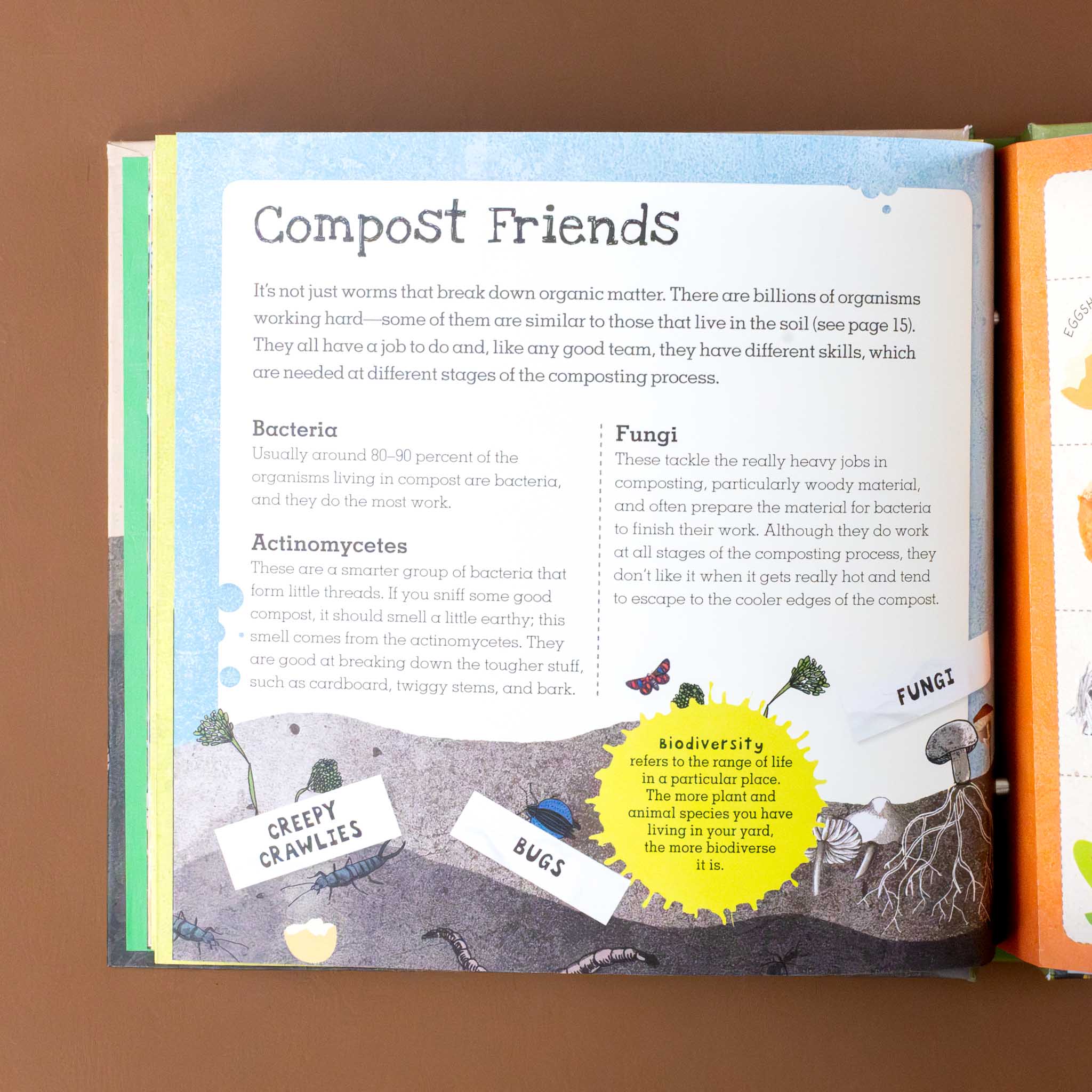 interior-page-on-compost-friends-with-illustration