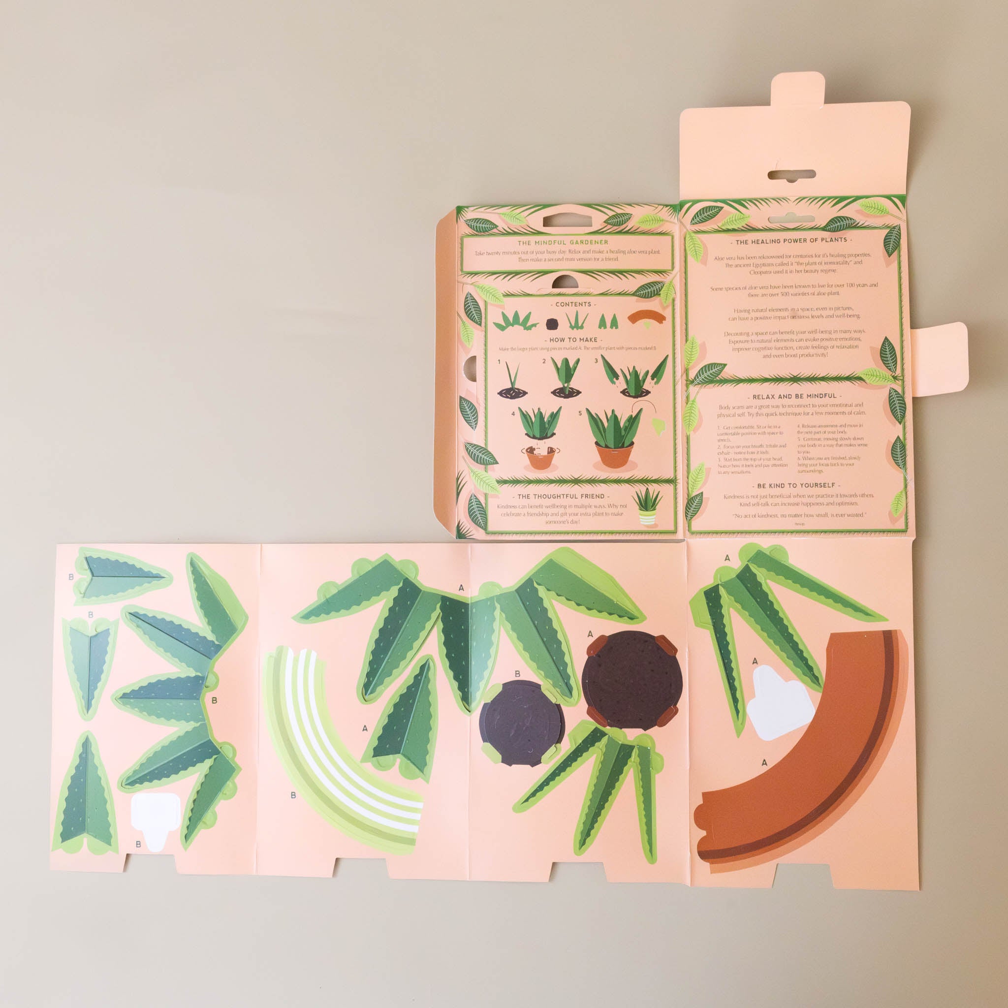 create-your-own-mini-paper-aloe-vera-plant-kit