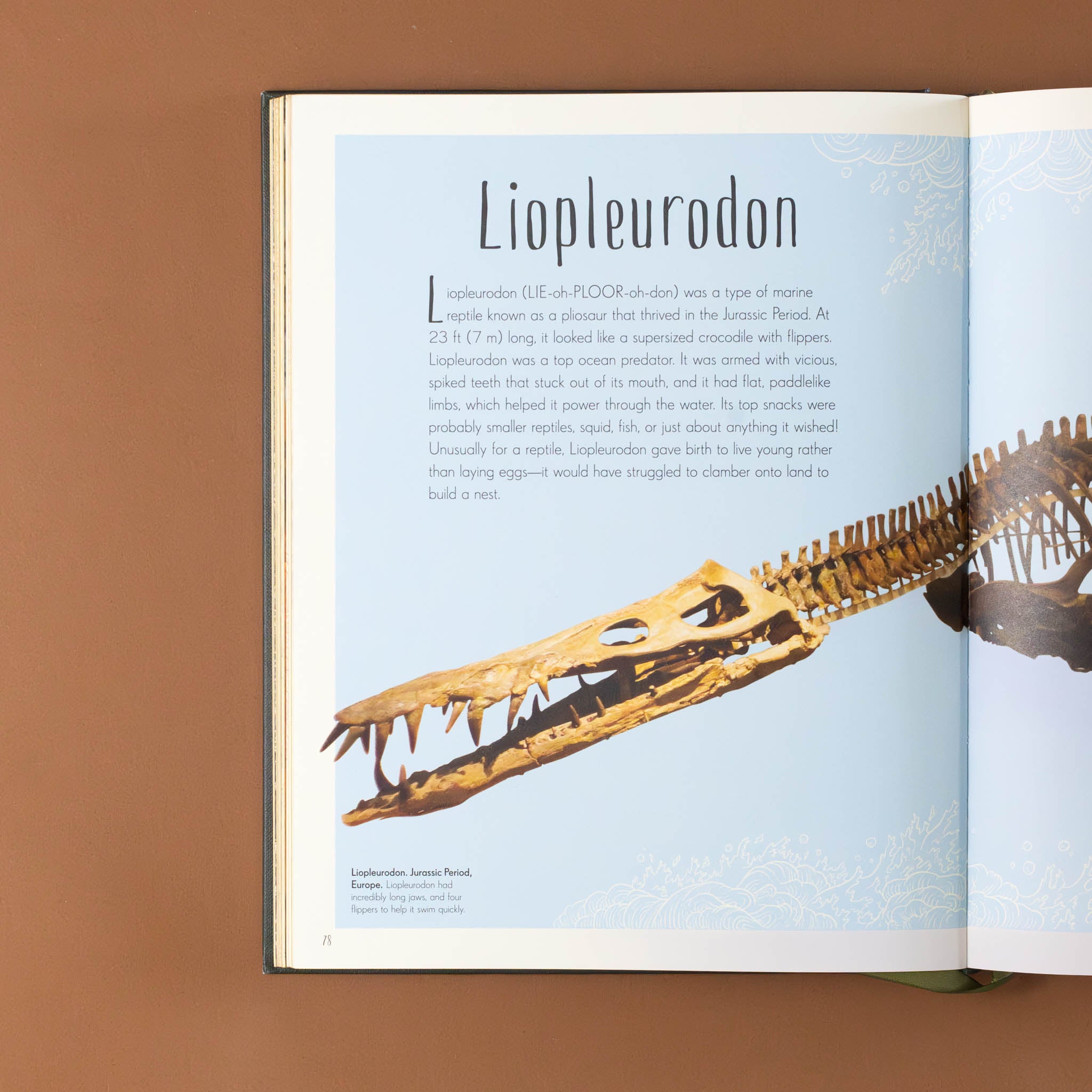 text-and-image-of-liopleurodon