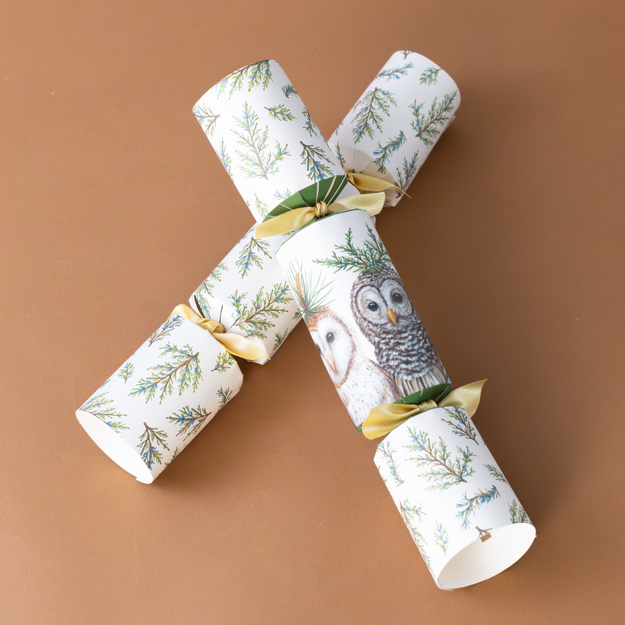 eco-friendly-christmas-crackers-winter-owls