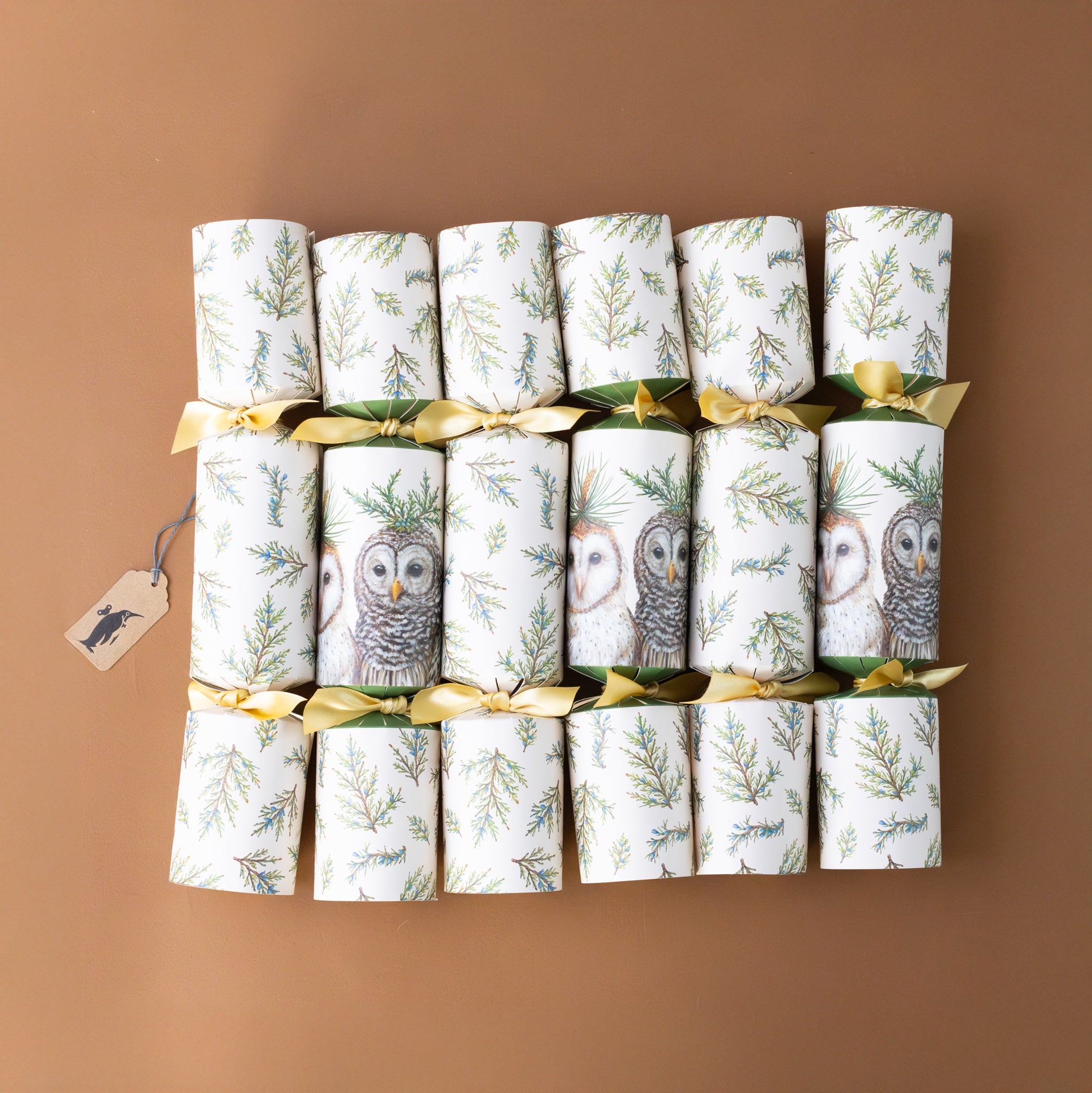 eco-friendly-christmas-crackers-winter-owls