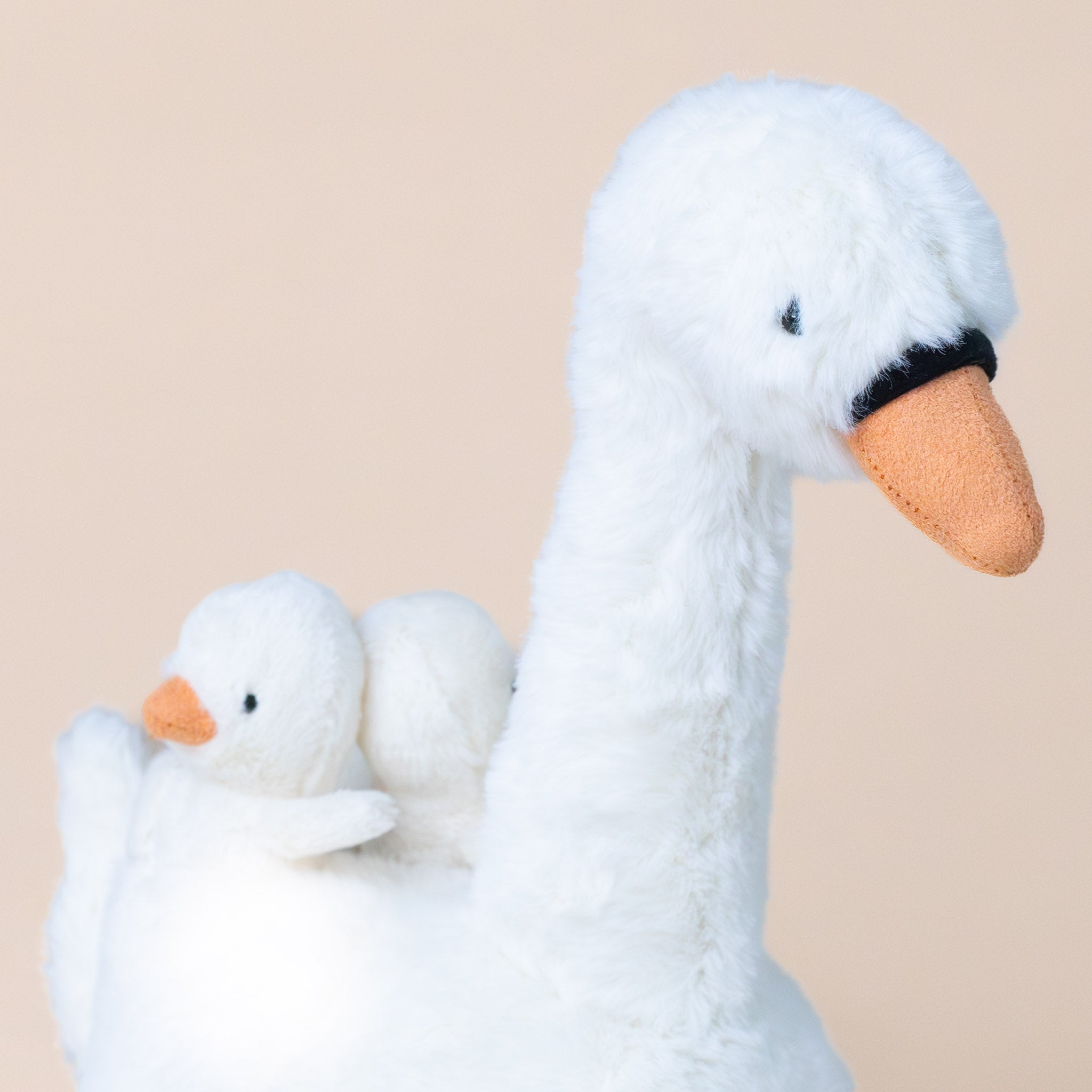 featherful-swan-orange-beak-and-cynets-on-her-back