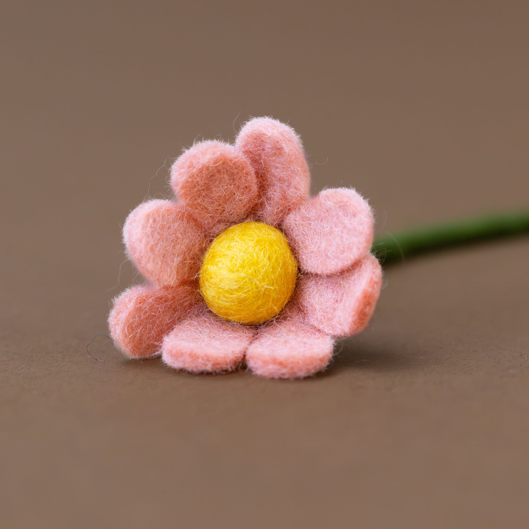 felt-anemone-salmon-close-up-petals-and-yellow-center