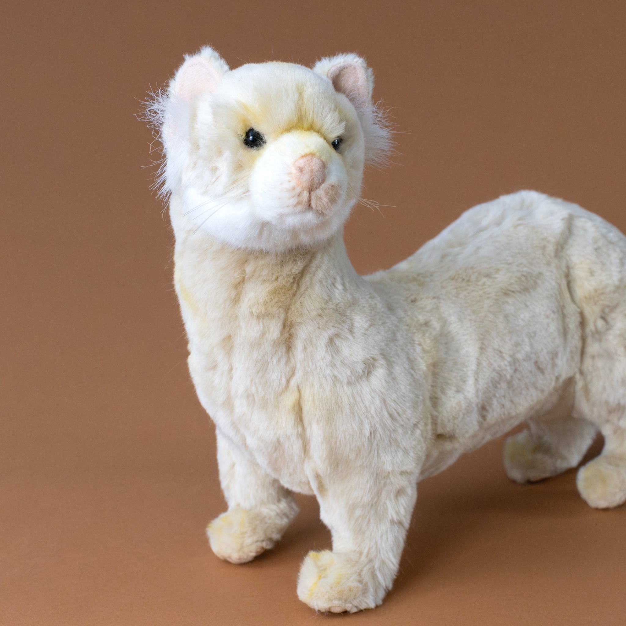 ferret-cream-side-stuffed-animal