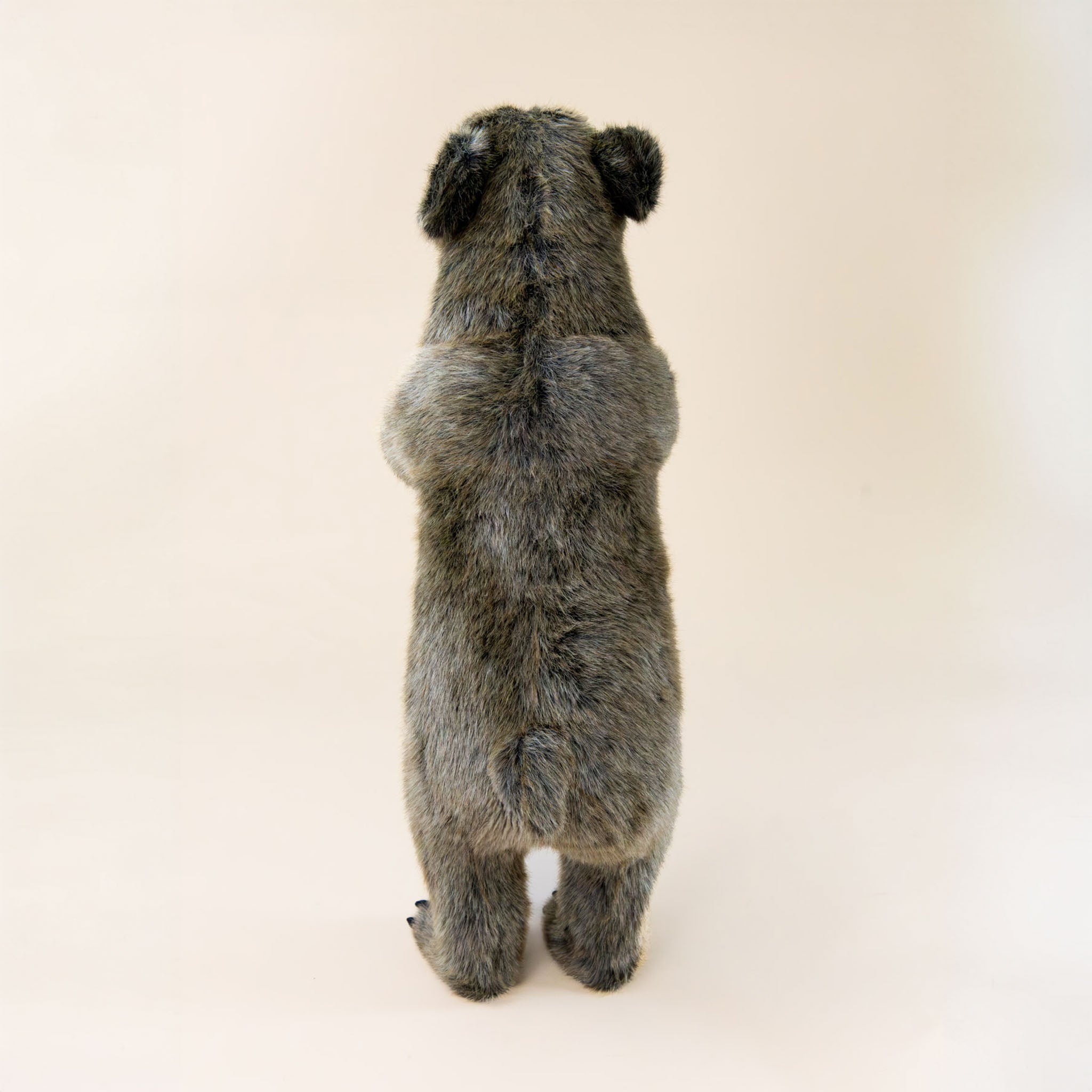 grizzly-bear-standing-small-with-wrapped-arms-and-bark-colored-fur-face-backside