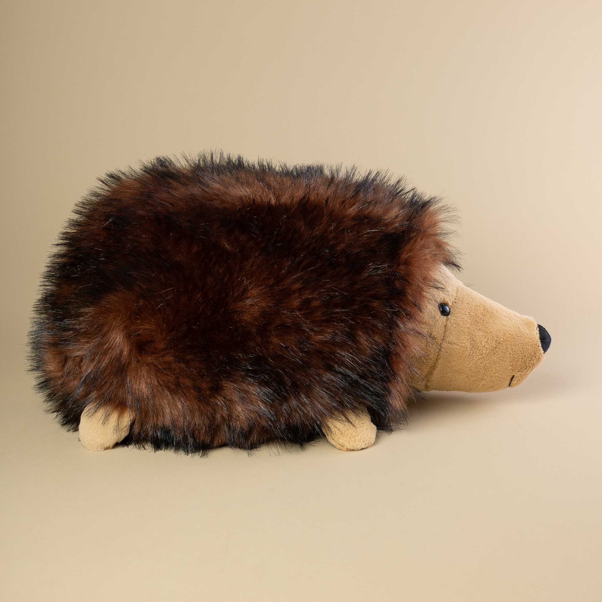 hamish-hedgehog-side-view