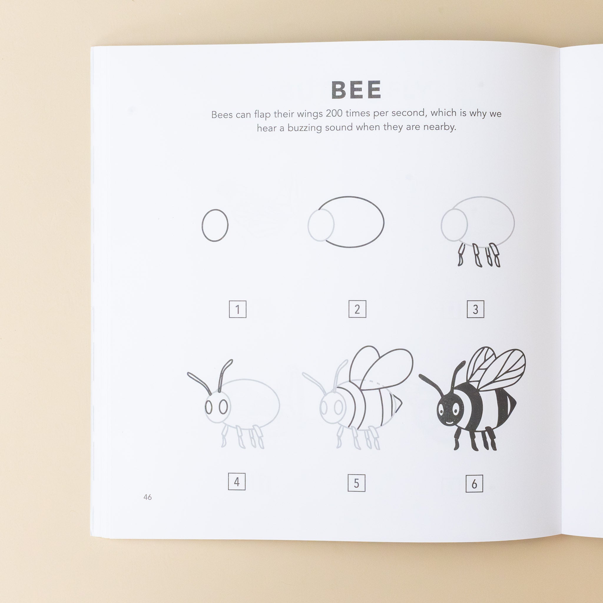 how-to-draw-spring-things-for-kids-book-bee