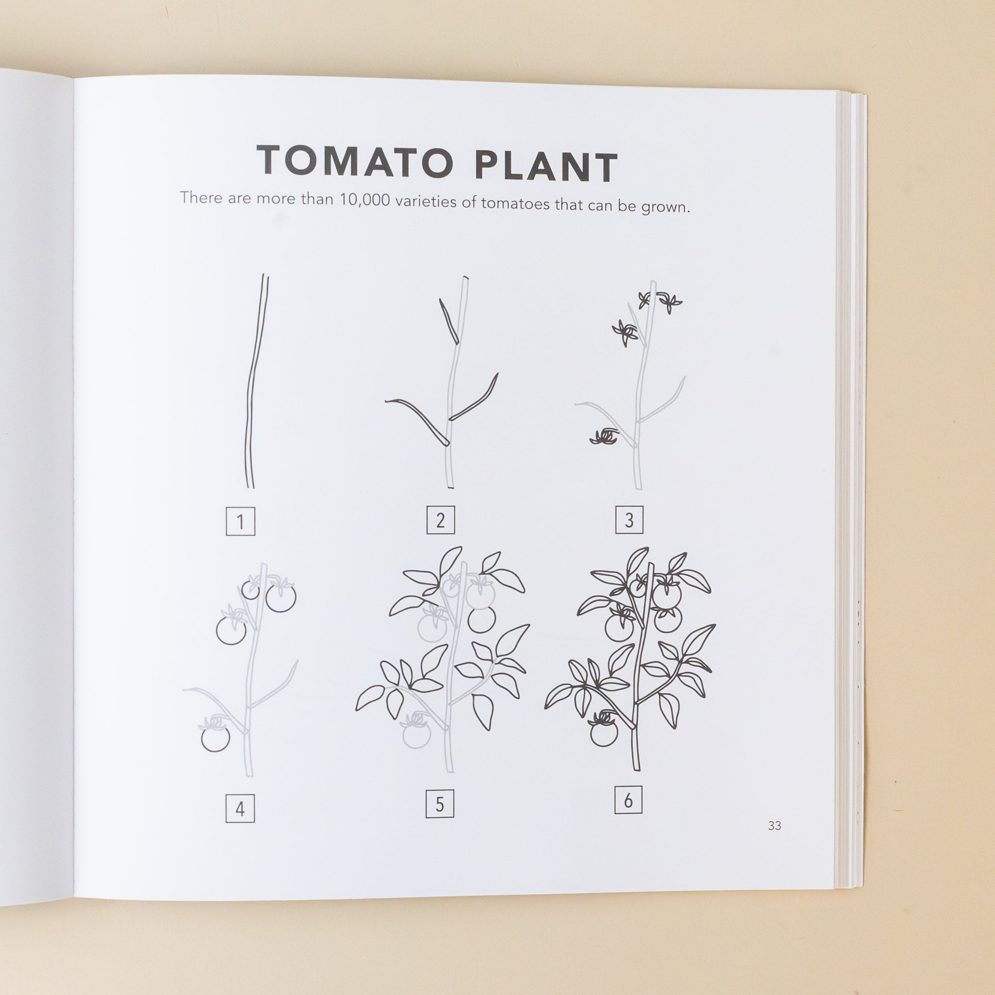 How To Draw Spring Things for Kids Book