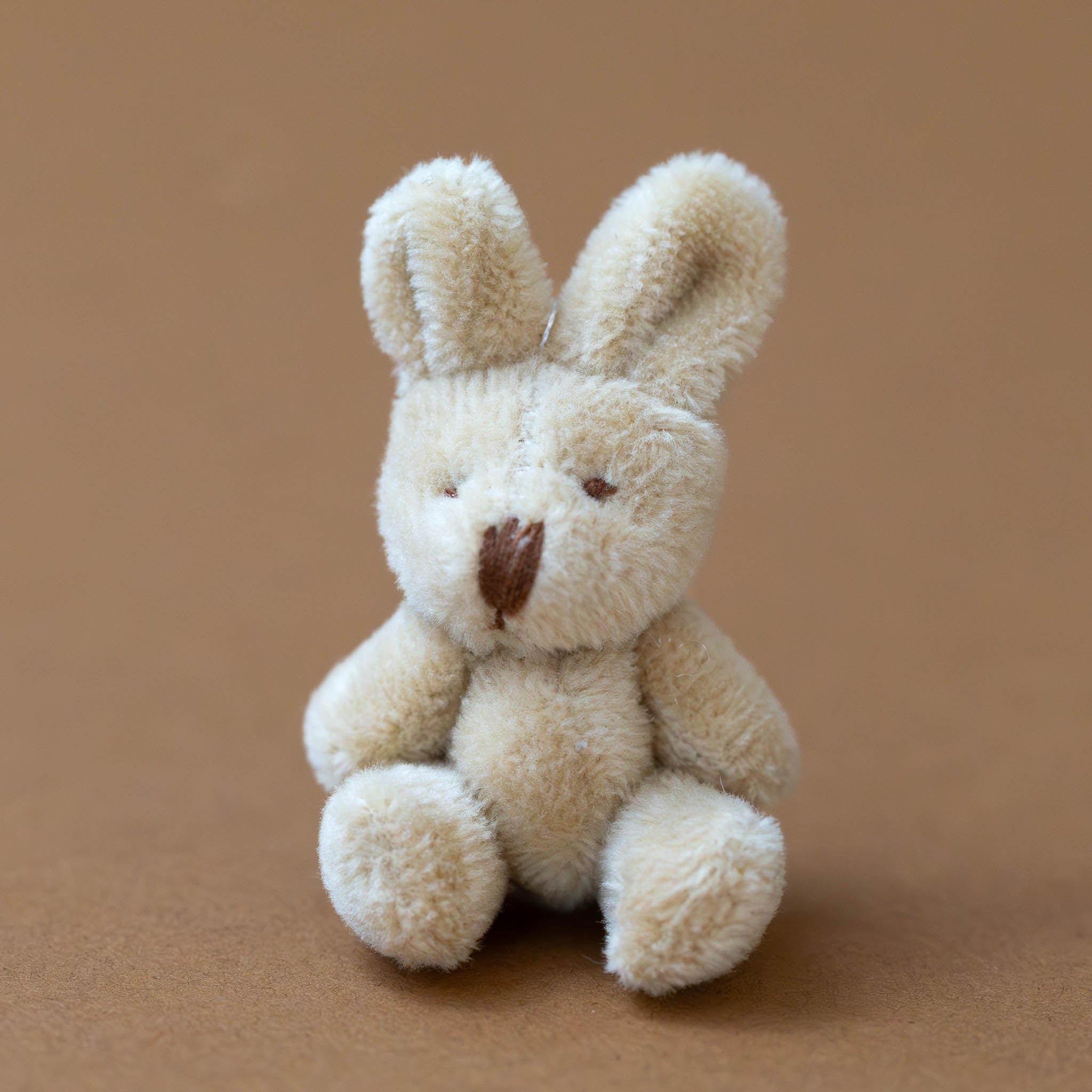 itty-bitty-bunny-coconut-stuffed-animal-sitting