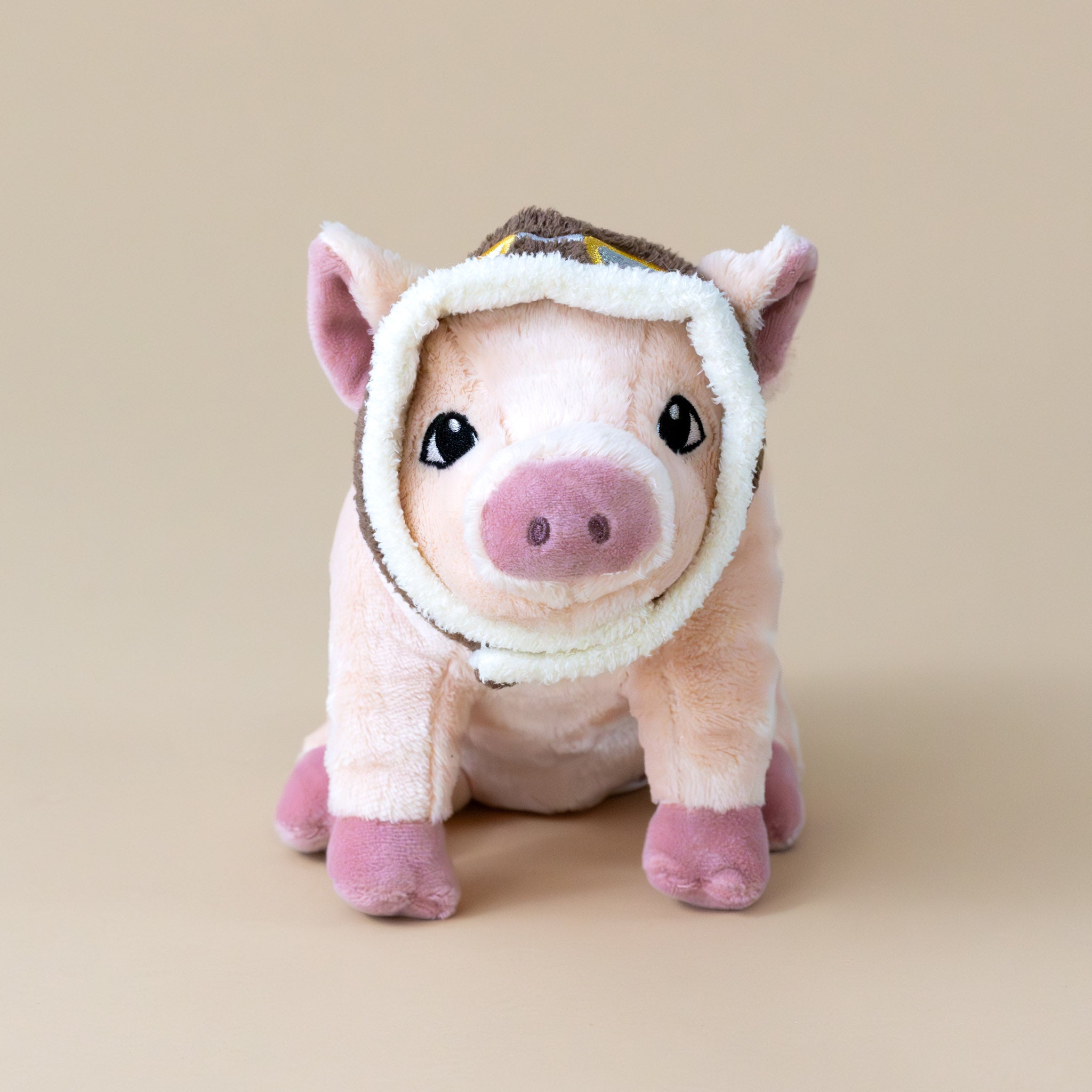 maybe-book-gift-set-stuffed-animal-pig-with-aviator-hat