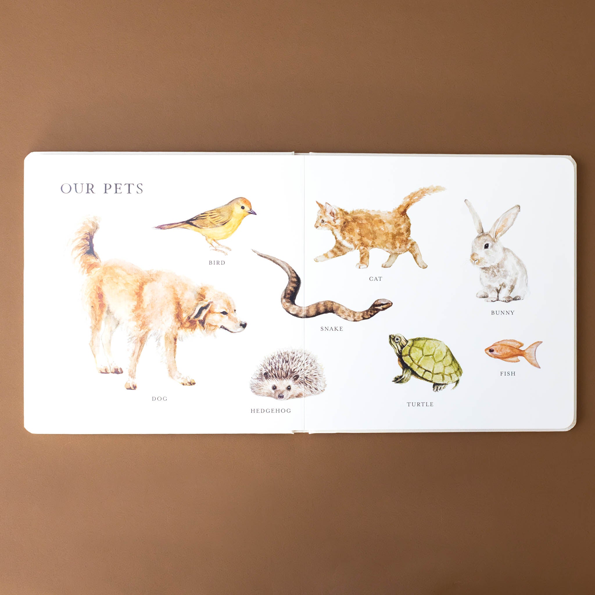 interior-page-with-soft-watercolor-pictures-of-our-pets-bird-turtle-cat-rabbit-goldfish-dog-hedgehog