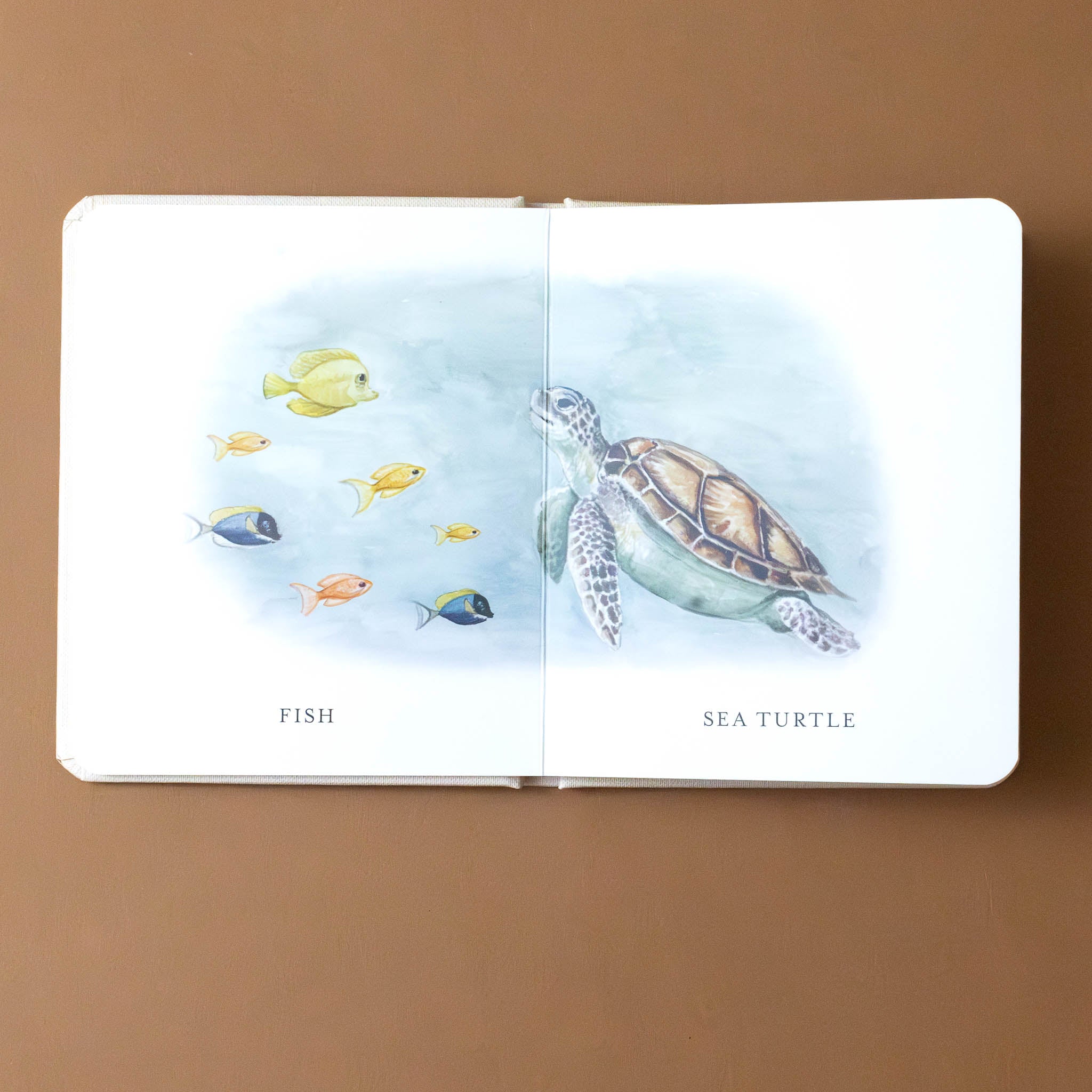 our-little-library-box-set-volume-ii-books--interior-page-text-and-illustration-ocean-animals-with-fish-and-sea-turtle