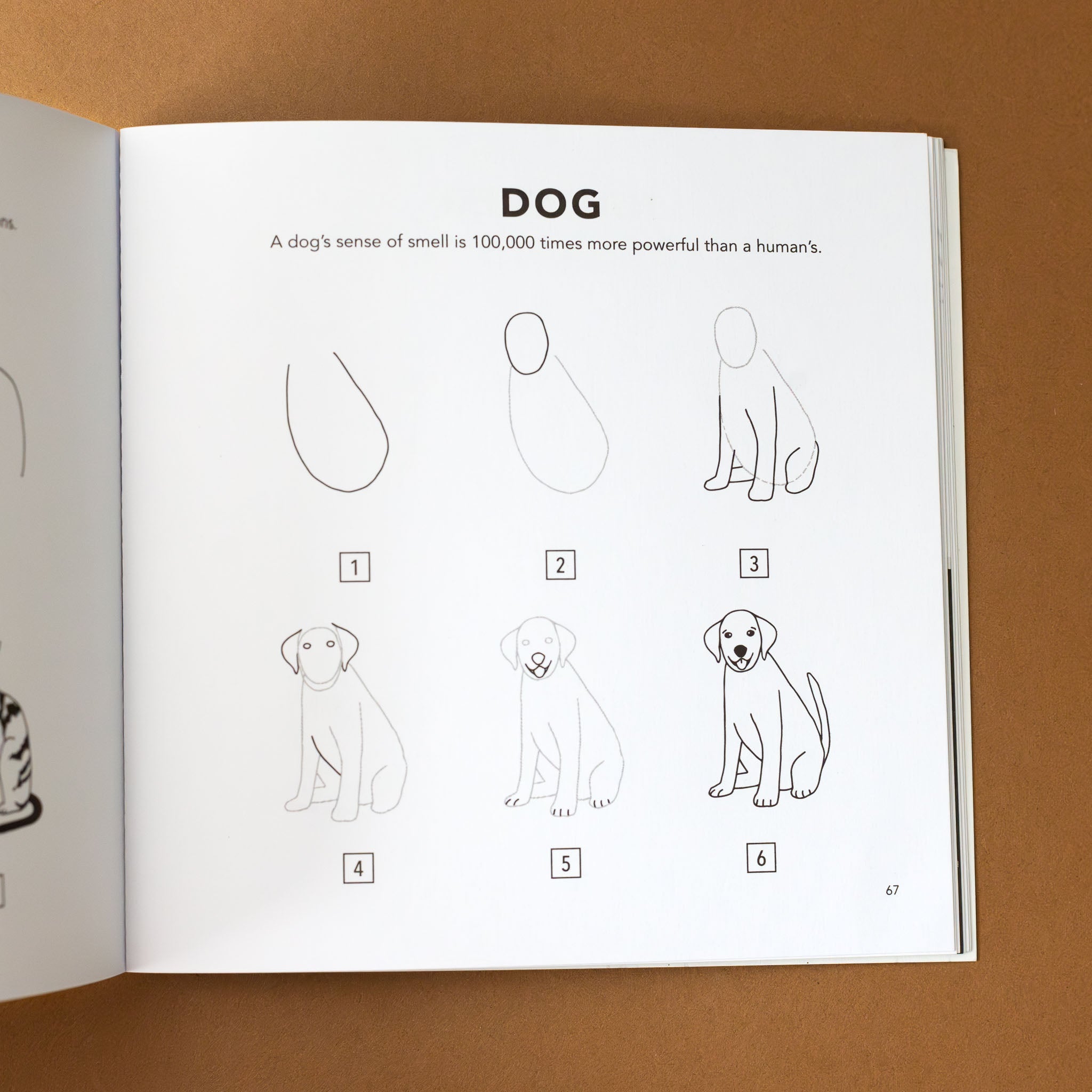 section-titled-dog-with-six-evolutions-of-how-to-draw-a-dog-and-accompanying-text