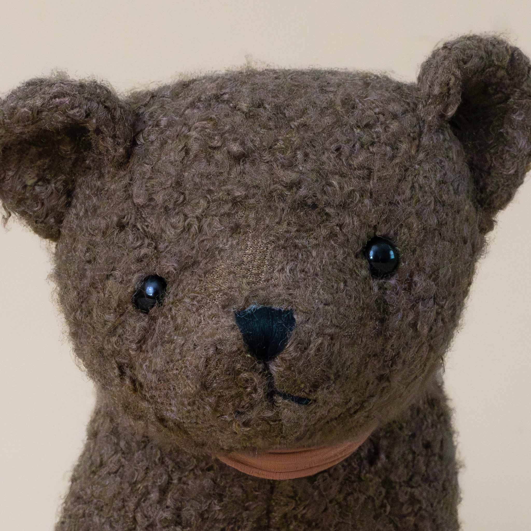 raoul-the-bear-standing-large-cocoa-face