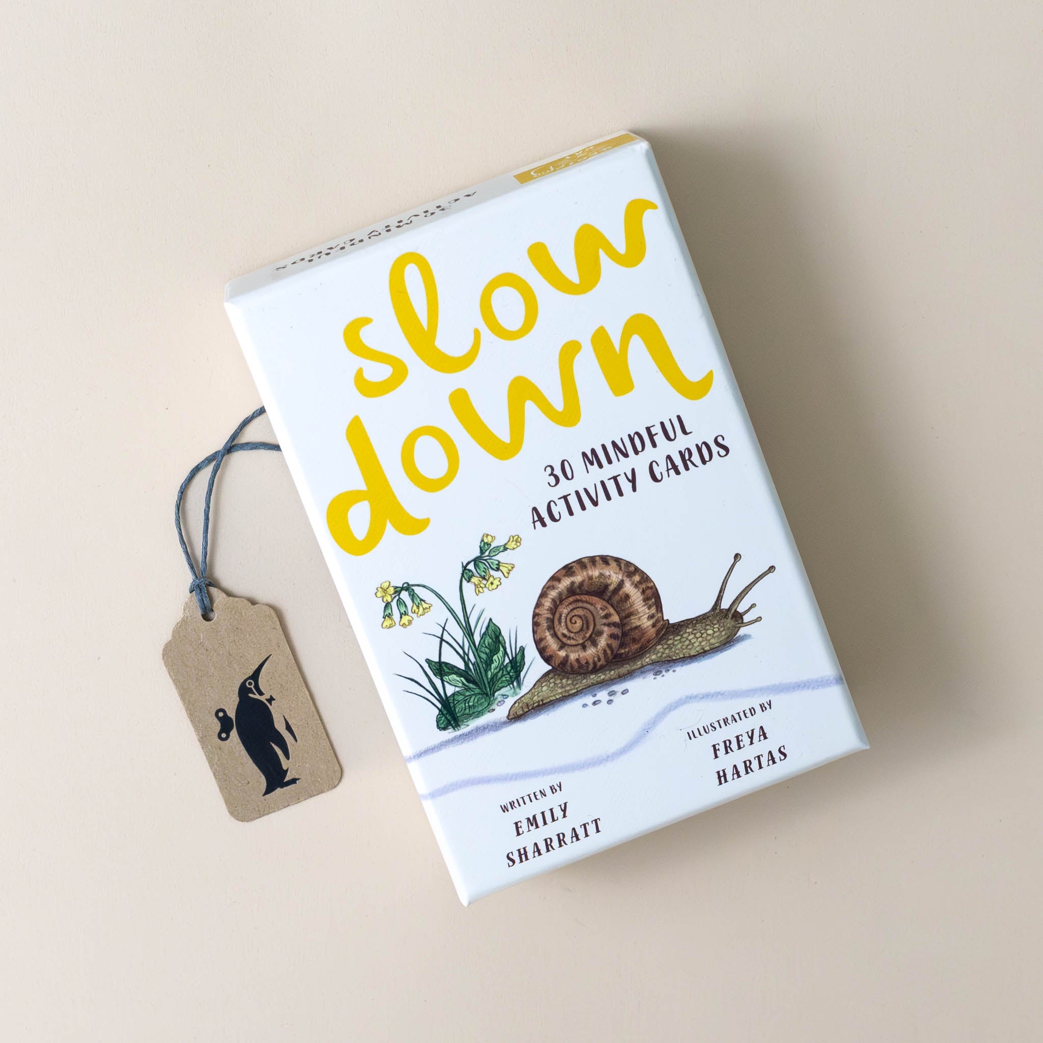 slow-down-activity-cards-with-a-snail-on-box-top