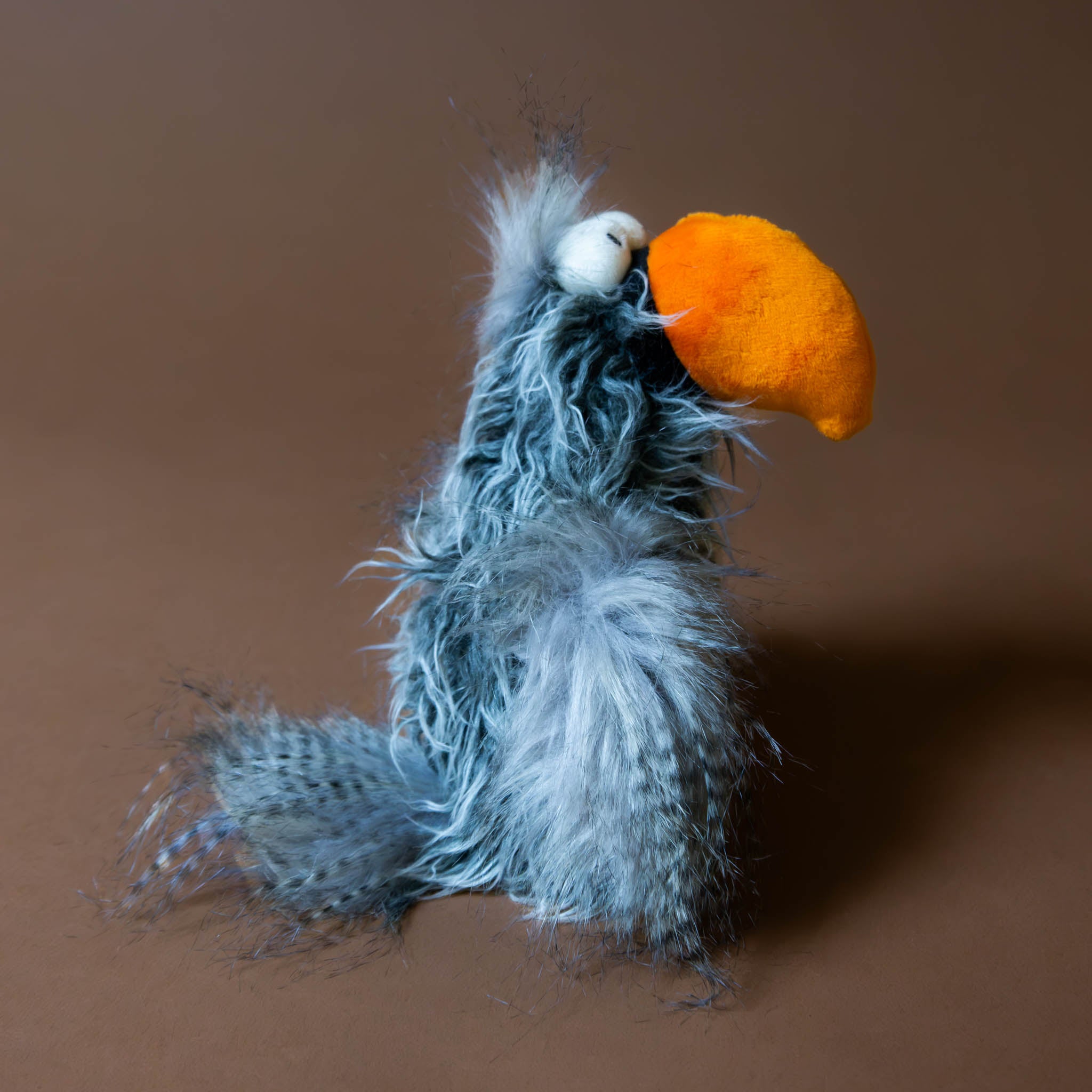 side-of-bird-with-ombre-grey-fluff-and-orange-beak