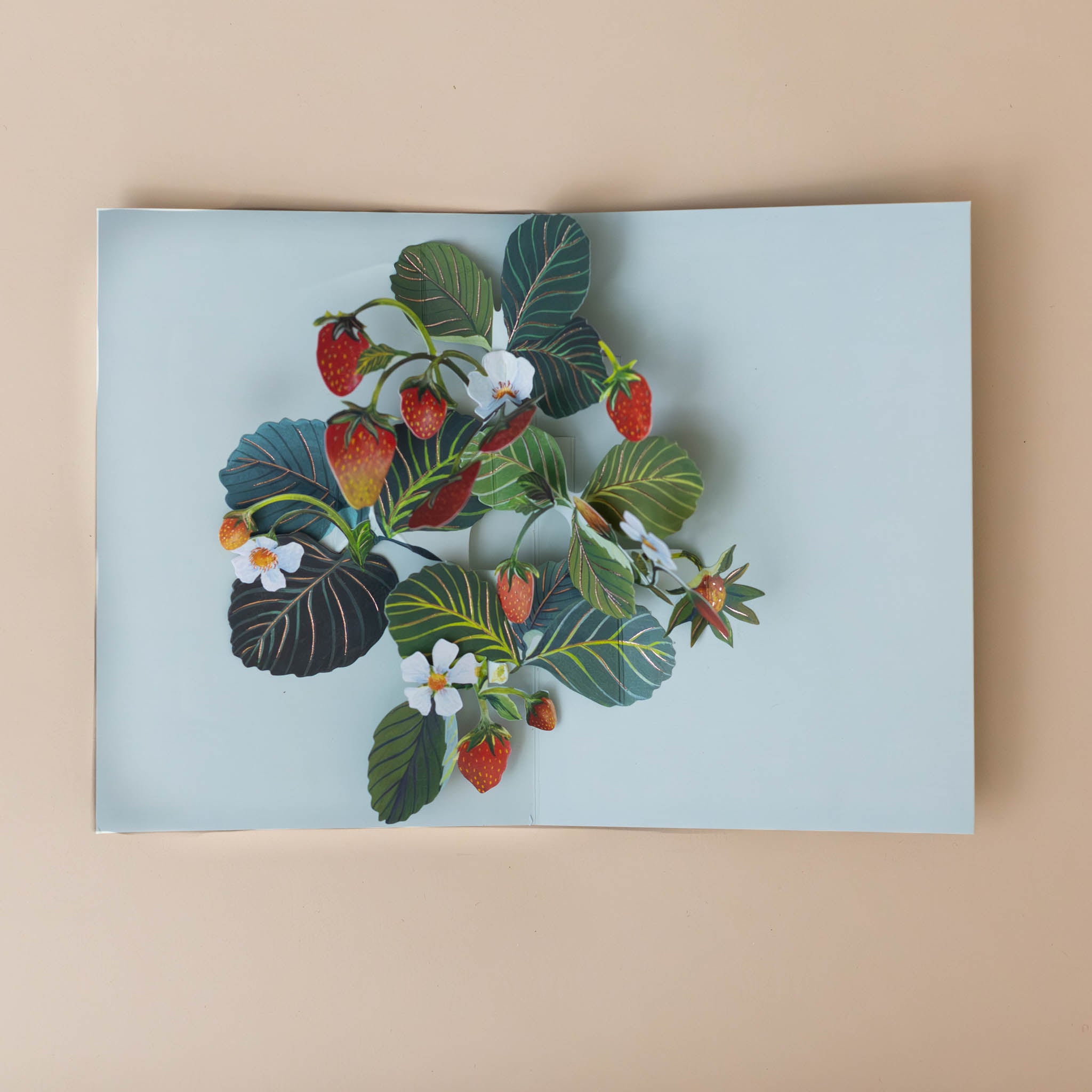 strawberries-blossoms-leaves-pop-out-when-card-is-opened