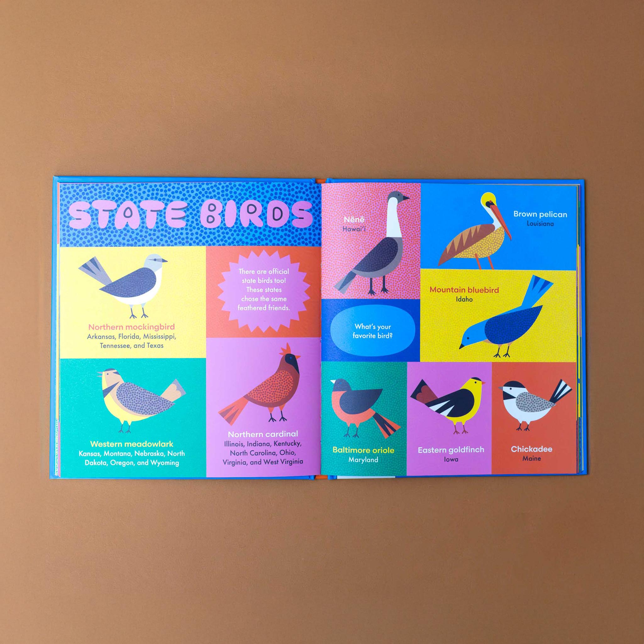 interior-page-tited-state-birds-with-illustration-and-text