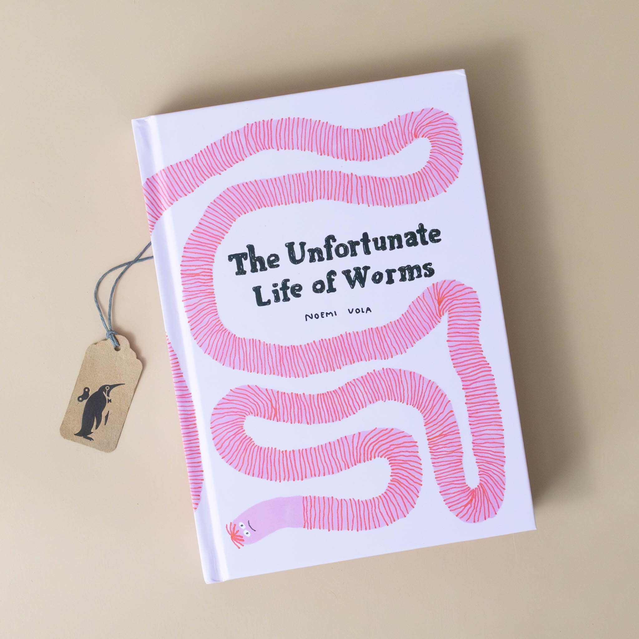 the-unfortunate-life-of-worms-book-cover-with-long-single-worm