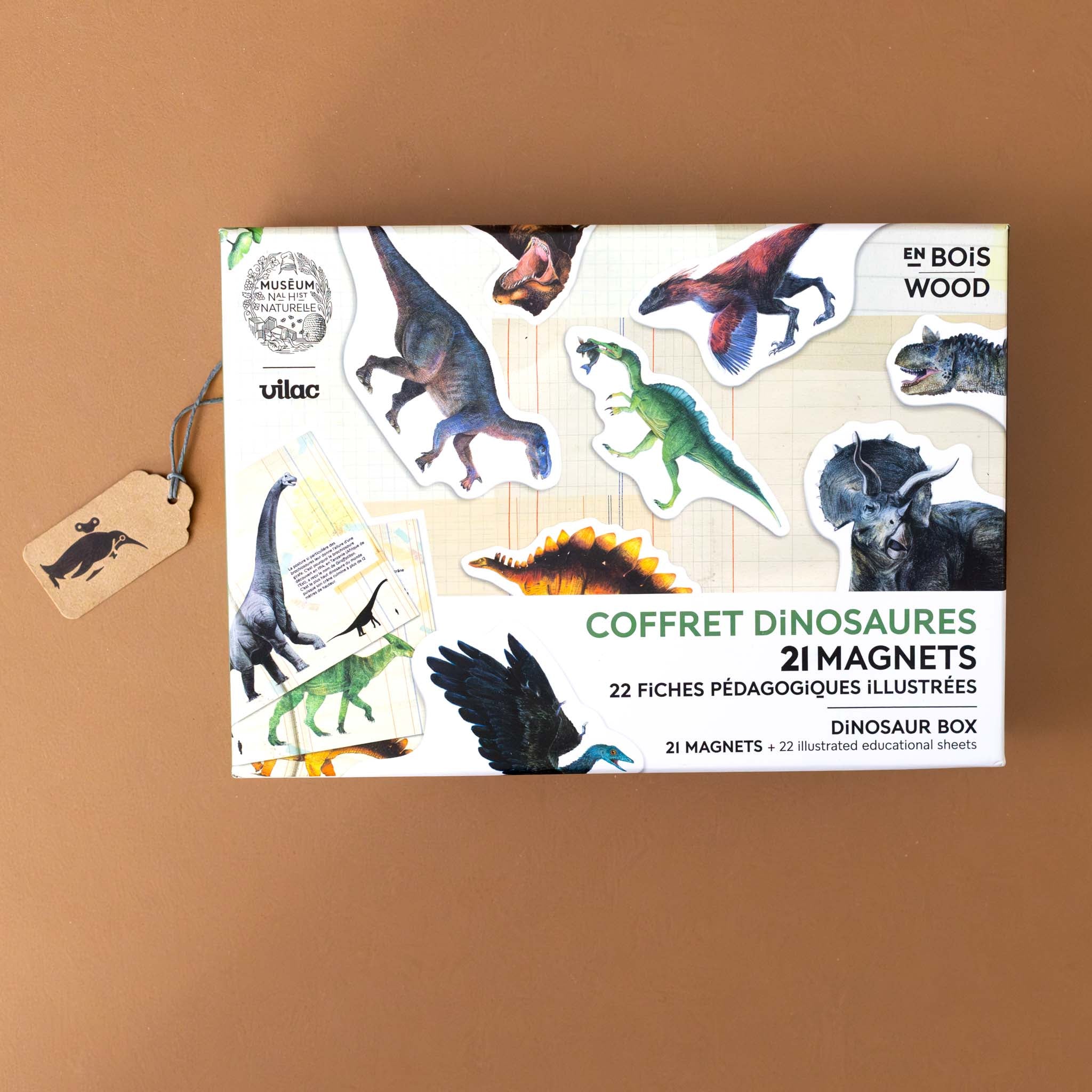 wooden-magnet-set-dinosaurs-box-cover-with-many-dinosaurs