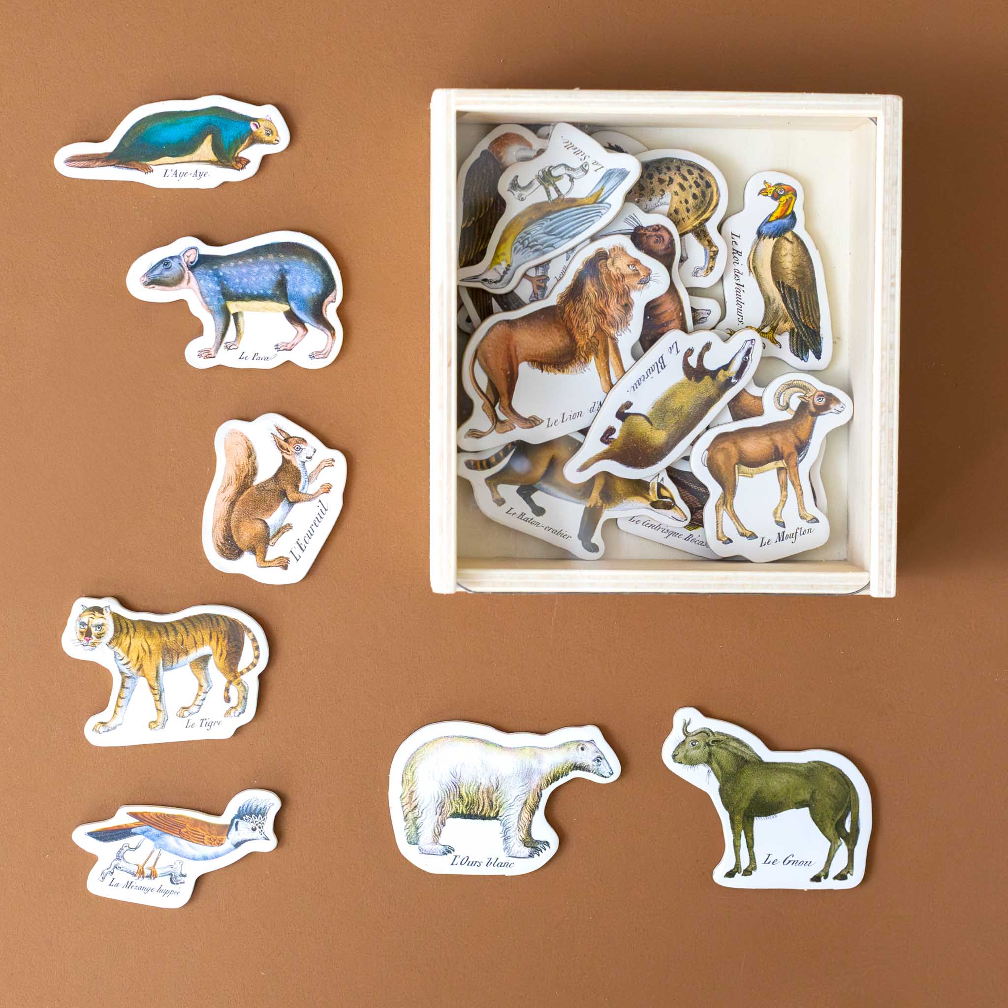 wooden-magnet-set-zoology-pieces-displayed