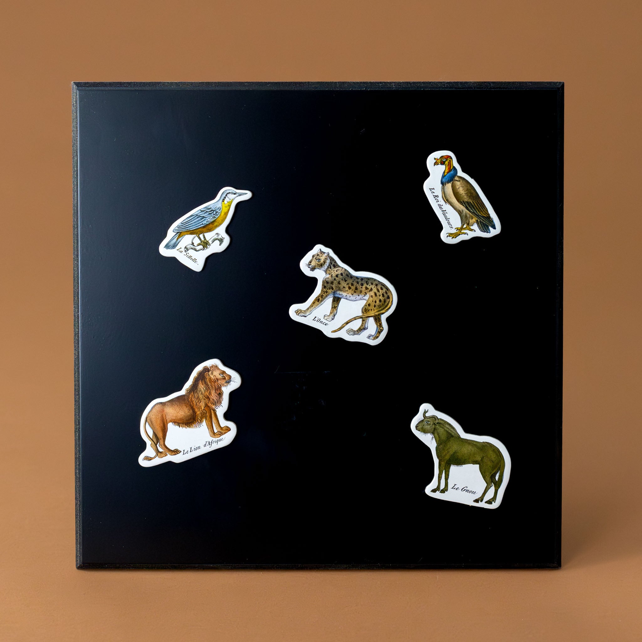 wooden-magnet-set-zoology-lion-pireds-and-other-animals-displayed-on-black-magenetic-surface-sold-separately