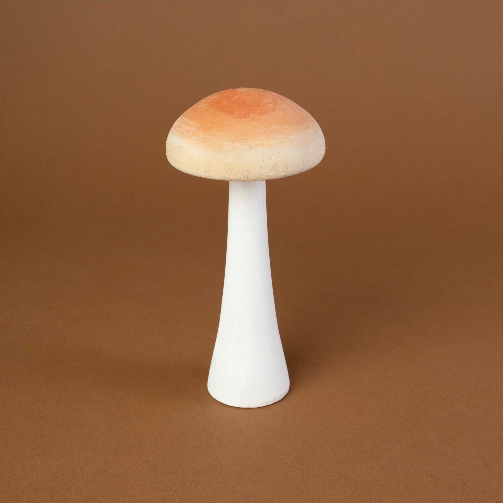 Wooden Mushroom Collection | Set of 6