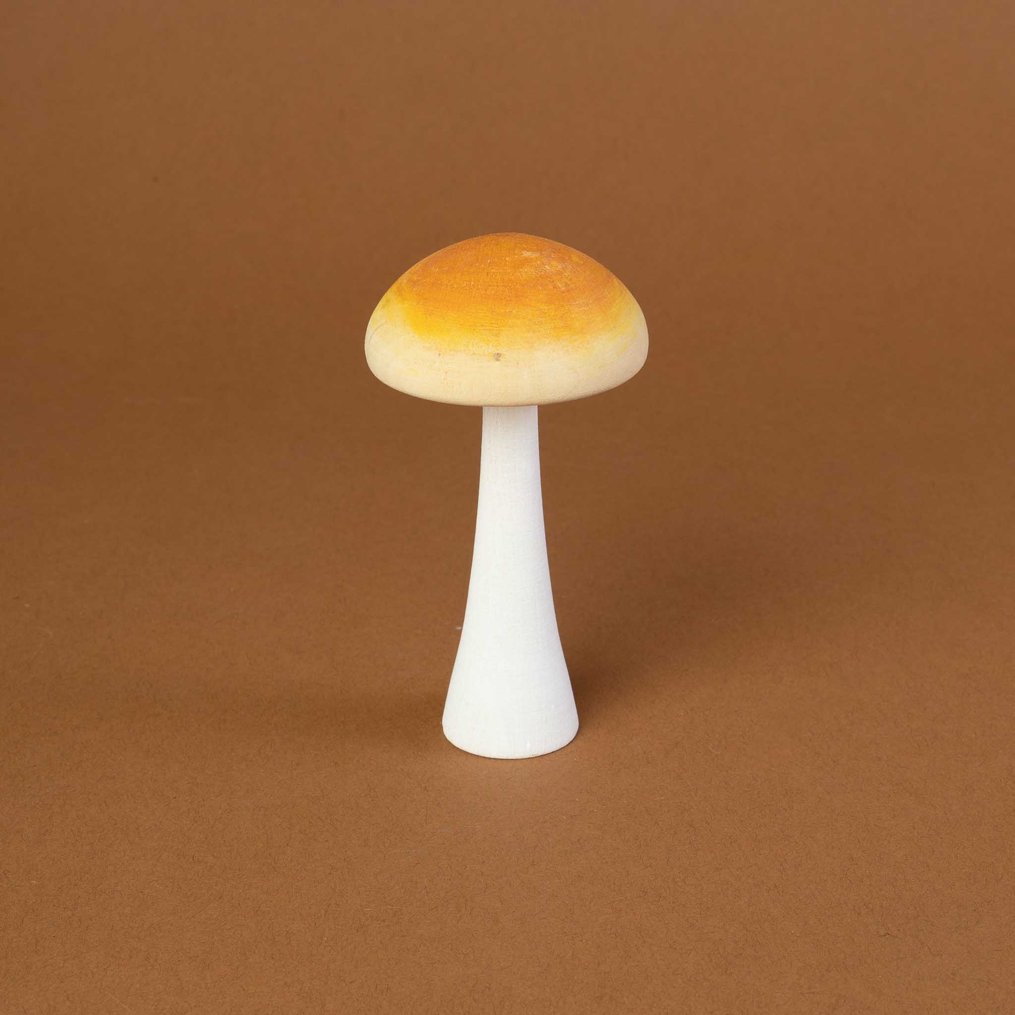 Wooden Mushroom Collection | Set of 6