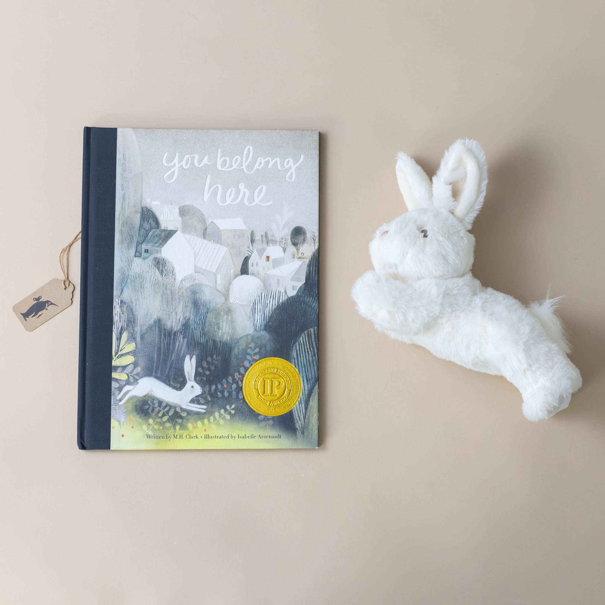 you-belong-here-gift-set-with-book-and-bunny