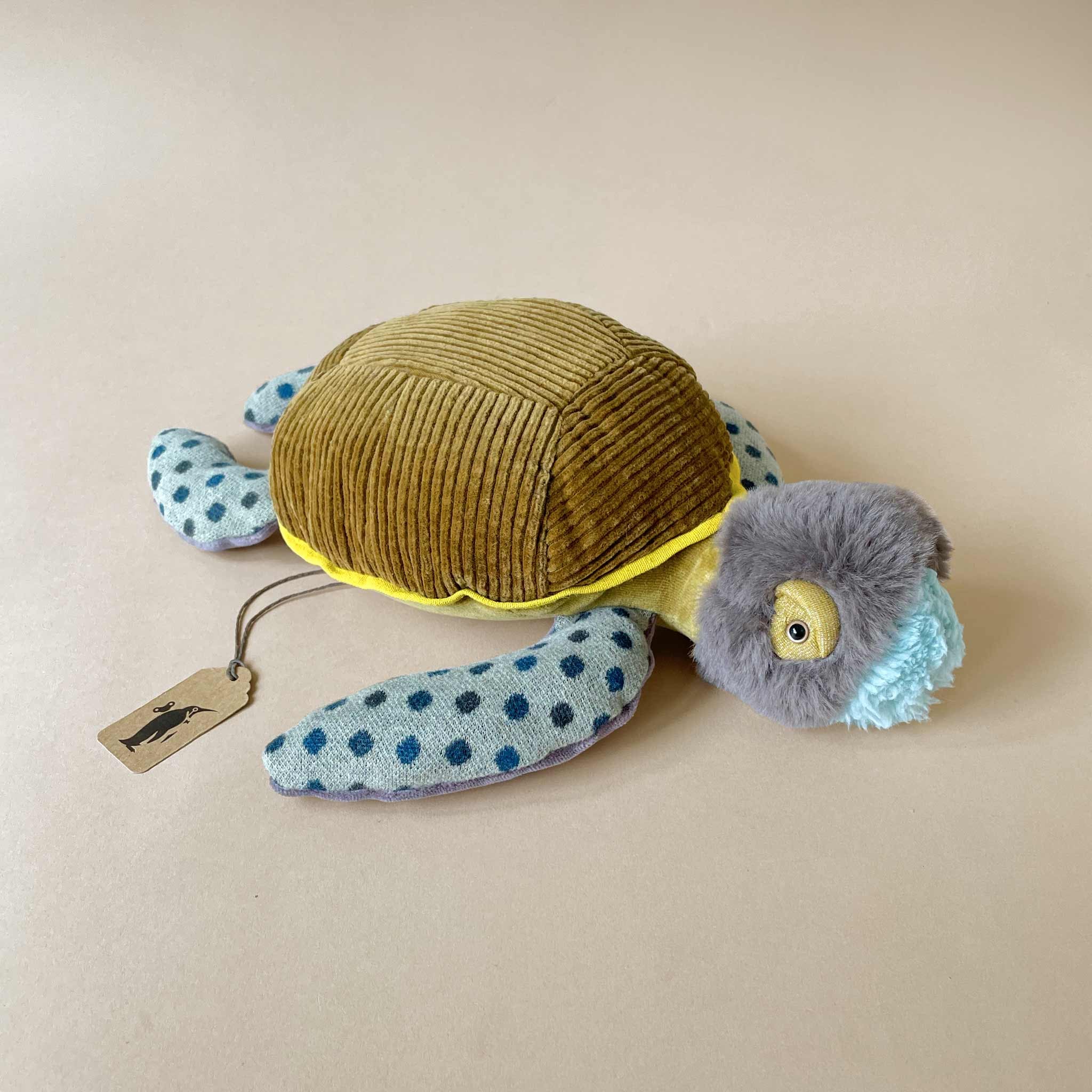 Petite Turtle