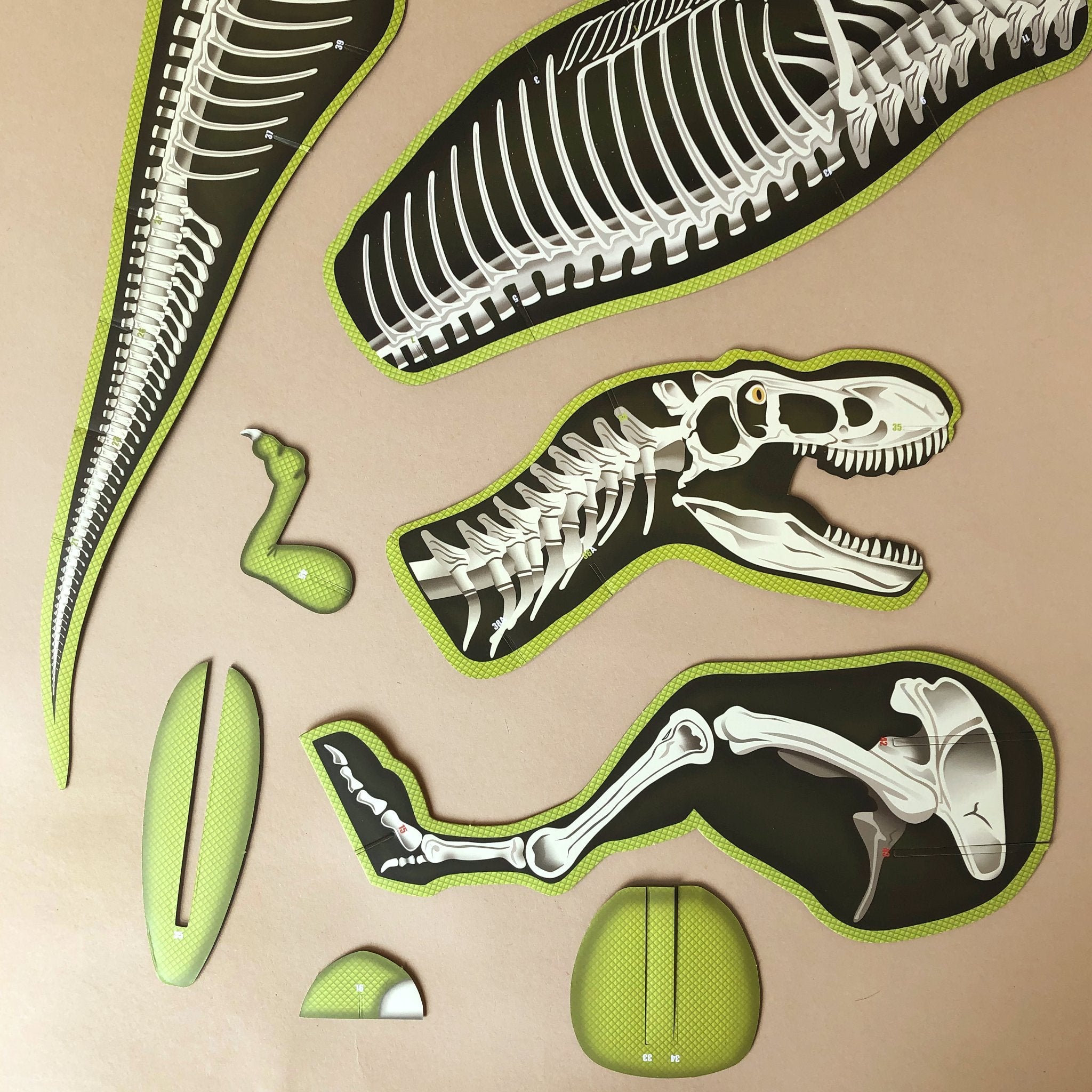 build-your-own-giant-dinosaur-t-rex-skeleton-pieces