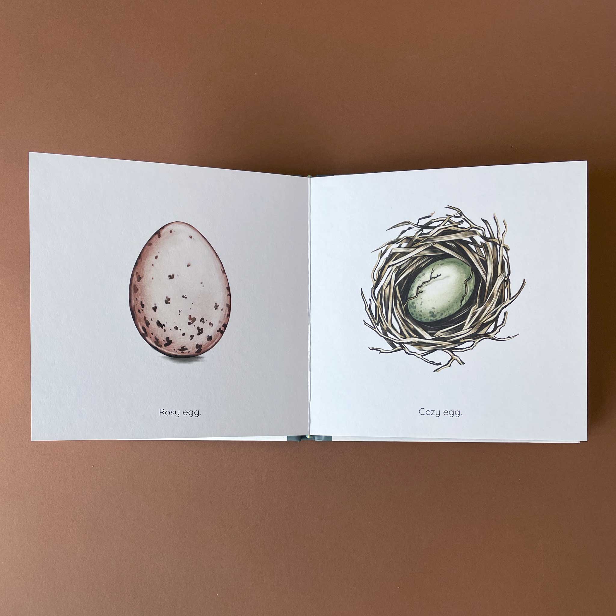 Egg Book - Books (Baby/Board) - pucciManuli