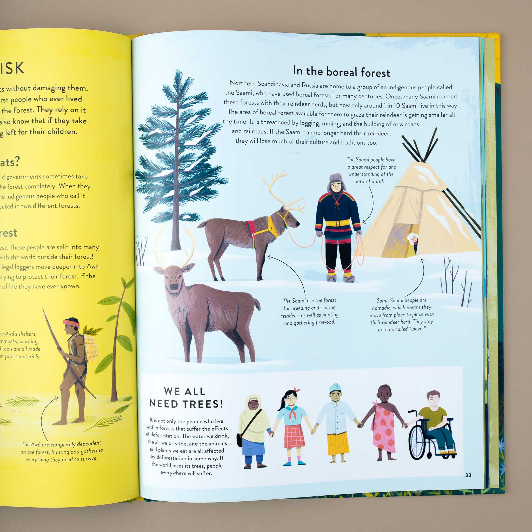 open-book-showing-text-and-illustrations-about-living-in-the-boreal-forest