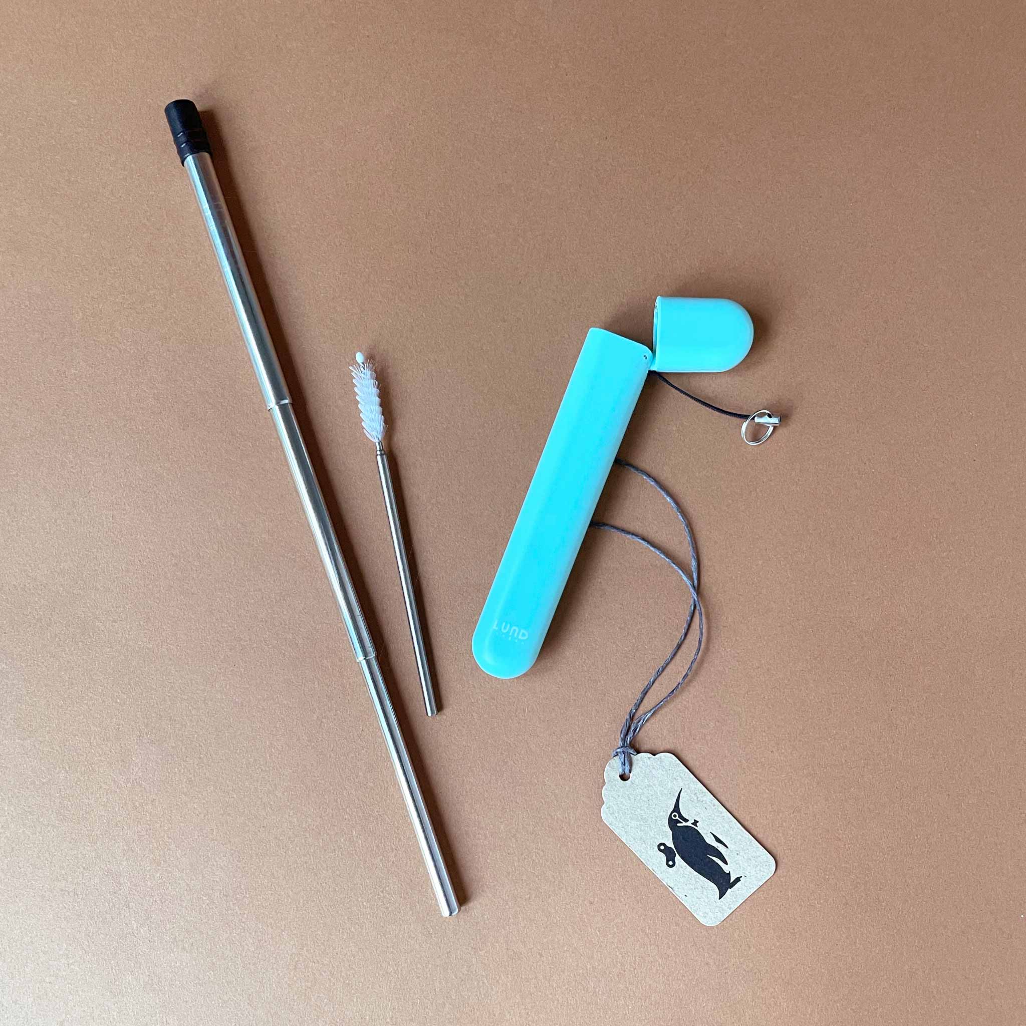 reusable-metal-straw-in-aqua-plant-based-case